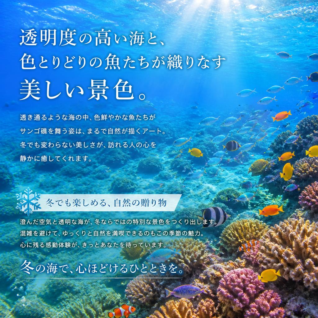 冬の探索：沖縄の海の美しさ